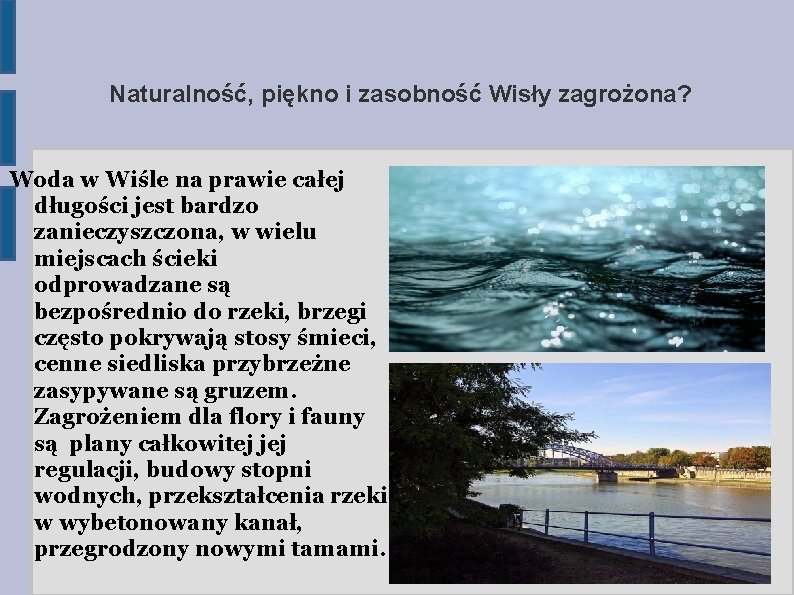 Naturalność, piękno i zasobność Wisły zagrożona? Woda w Wiśle na prawie całej długości jest