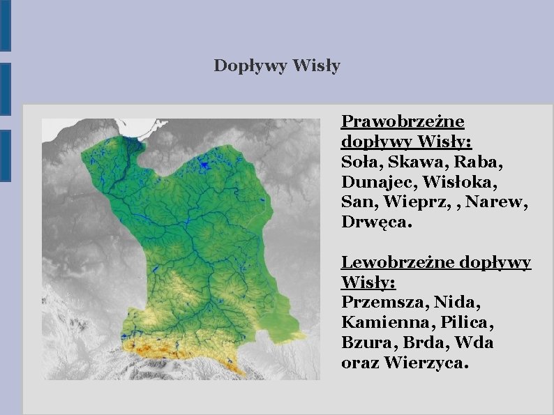 Dopływy Wisły Prawobrzeżne dopływy Wisły: Soła, Skawa, Raba, Dunajec, Wisłoka, San, Wieprz, , Narew,