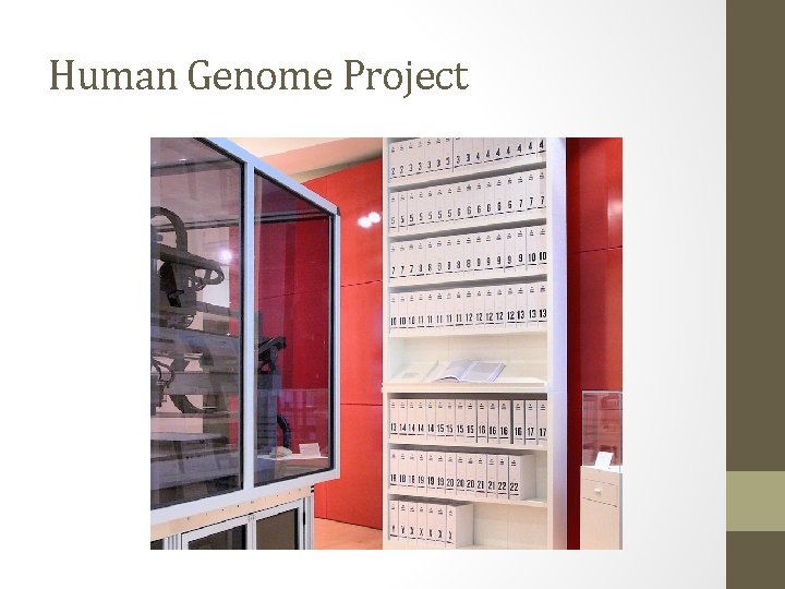 Human Genome Project 
