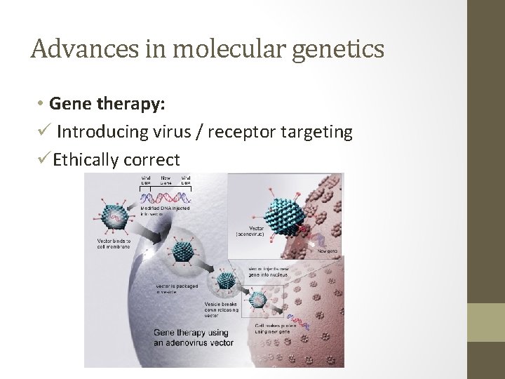 Advances in molecular genetics • Gene therapy: ü Introducing virus / receptor targeting üEthically