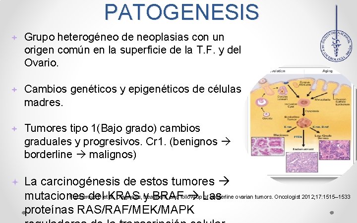 PATOGENESIS Grupo heterogéneo de neoplasias con un origen común en la superficie de la