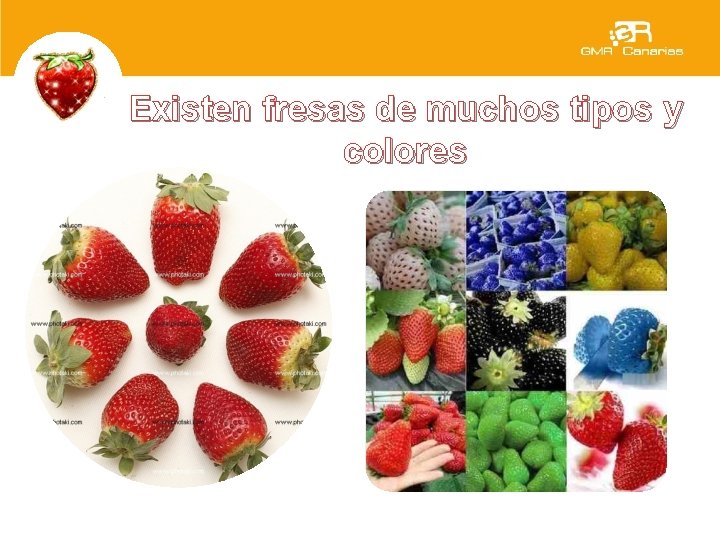 Existen fresas de muchos tipos y colores 