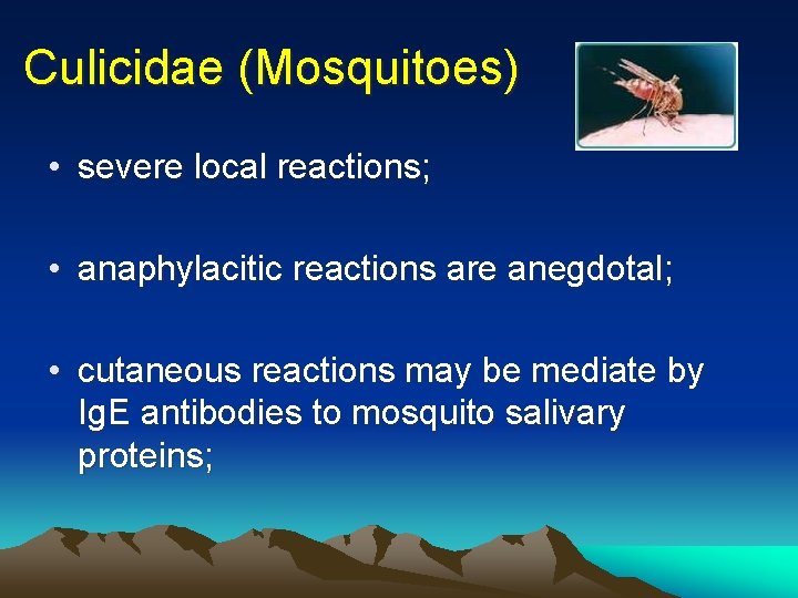 Culicidae (Mosquitoes) • severe local reactions; • anaphylacitic reactions are anegdotal; • cutaneous reactions Culicidae (Mosquitoes) • severe local reactions; • anaphylacitic reactions are anegdotal; • cutaneous reactions