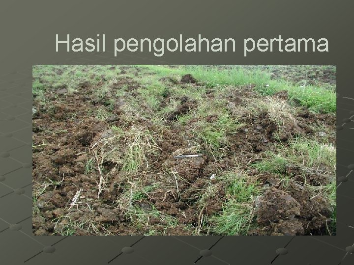 Hasil pengolahan pertama 