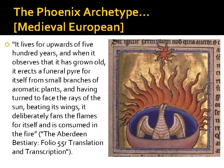The Phoenix Archetype… [Medieval European] “It lives for upwards of five hundred years, and