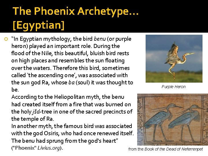 The Phoenix Archetype… [Egyptian] “In Egyptian mythology, the bird benu (or purple heron) played
