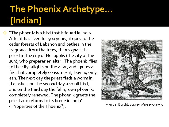 The Phoenix Archetype… [Indian] “The phoenix is a bird that is found in India.