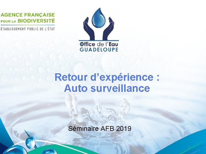 Retour d’expérience : Auto surveillance Séminaire AFB 2019 1 
