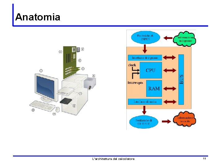 Anatomia L’architettura del calcolatore 11 