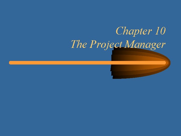 Chapter 10 The Project Manager 