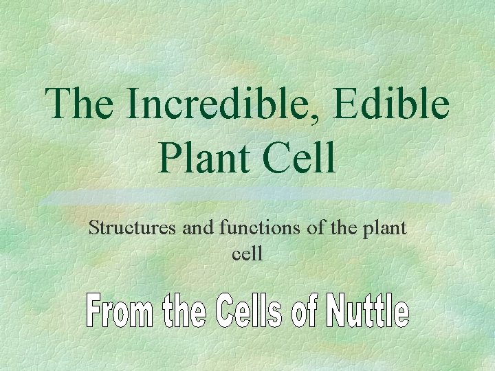 The Incredible, Edible Plant Cell Structures and functions of the plant cell 
