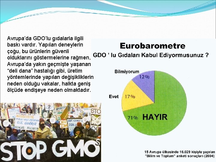 Avrupa’da GDO’lu gıdalarla ilgili baskı vardır. Yapılan deneylerin çoğu, bu ürünlerin güvenli olduklarını göstermelerine