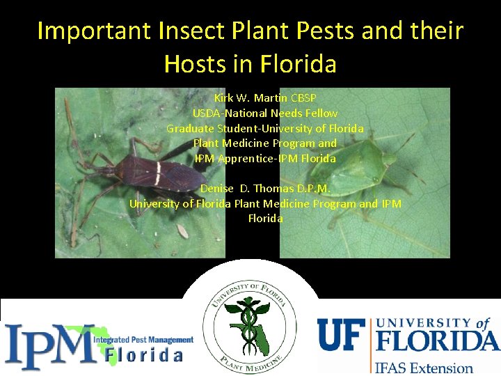 Important Insect Plant Pests and their Hosts in Florida Kirk W. Martin CBSP USDA-National