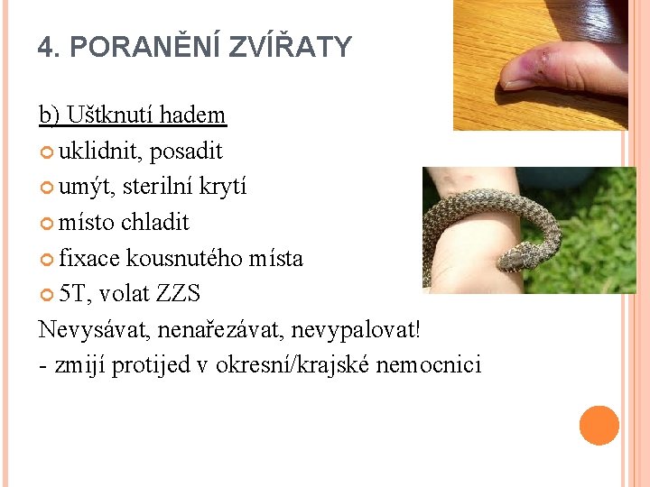 4. PORANĚNÍ ZVÍŘATY b) Uštknutí hadem uklidnit, posadit umýt, sterilní krytí místo chladit fixace