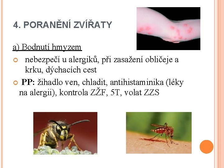 4. PORANĚNÍ ZVÍŘATY a) Bodnutí hmyzem nebezpečí u alergiků, při zasažení obličeje a krku,
