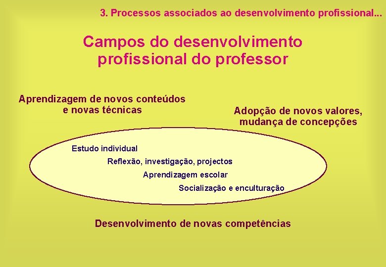 3. Processos associados ao desenvolvimento profissional. . . Campos do desenvolvimento profissional do professor