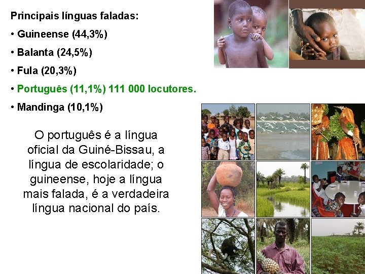 Principais línguas faladas: • Guineense (44, 3%) • Balanta (24, 5%) • Fula (20,