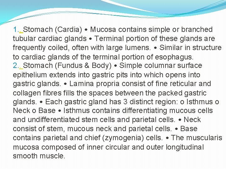 1. . Stomach (Cardia) • Mucosa contains simple or branched tubular cardiac glands •