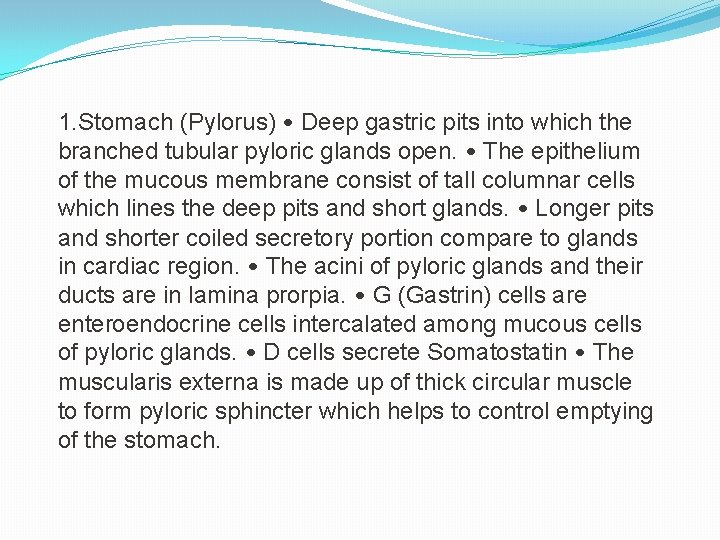1. Stomach (Pylorus) • Deep gastric pits into which the branched tubular pyloric glands