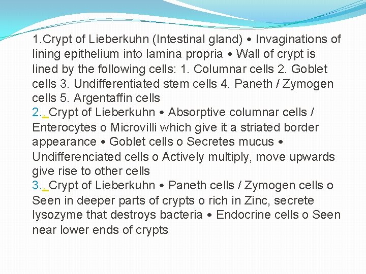 1. Crypt of Lieberkuhn (Intestinal gland) • Invaginations of lining epithelium into lamina propria
