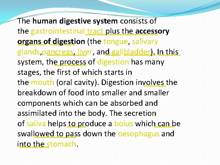 The human digestive system consists of the gastrointestinal tract plus the accessory organs of