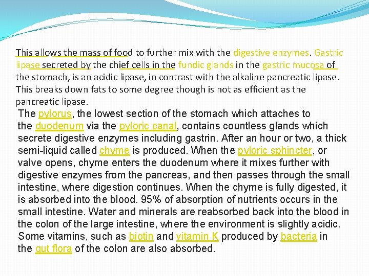 This allows the mass of food to further mix with the digestive enzymes. Gastric