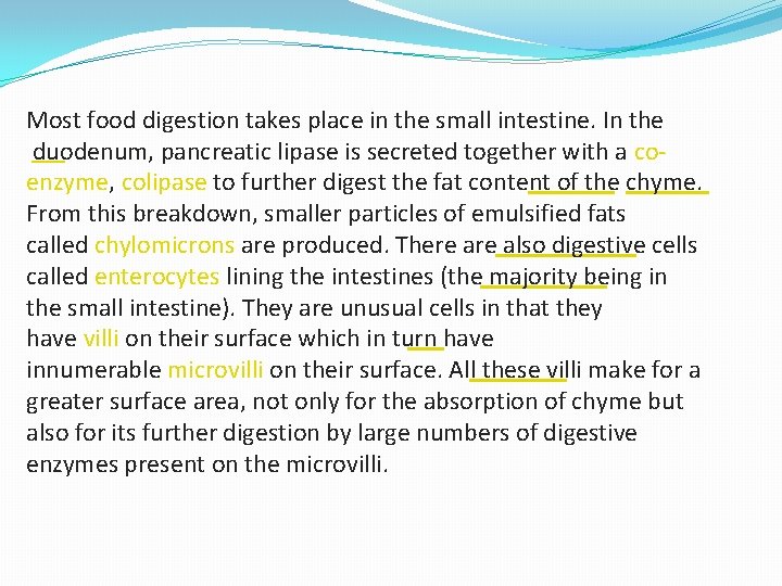 Most food digestion takes place in the small intestine. In the duodenum, pancreatic lipase
