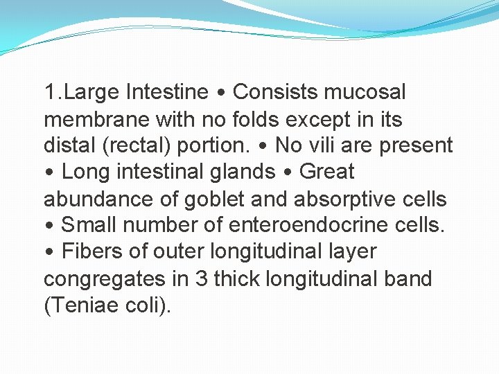 1. Large Intestine • Consists mucosal membrane with no folds except in its distal