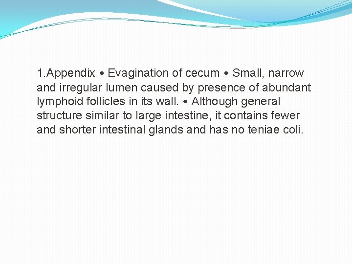 1. Appendix • Evagination of cecum • Small, narrow and irregular lumen caused by