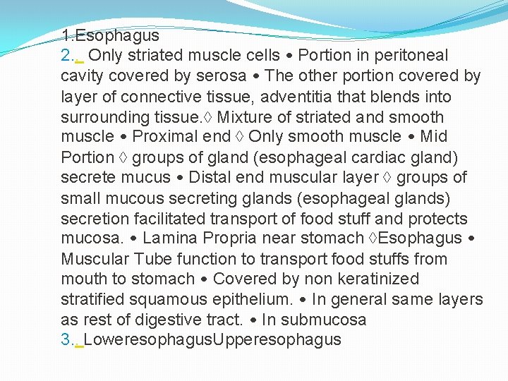 1. Esophagus 2. . Only striated muscle cells • Portion in peritoneal cavity covered