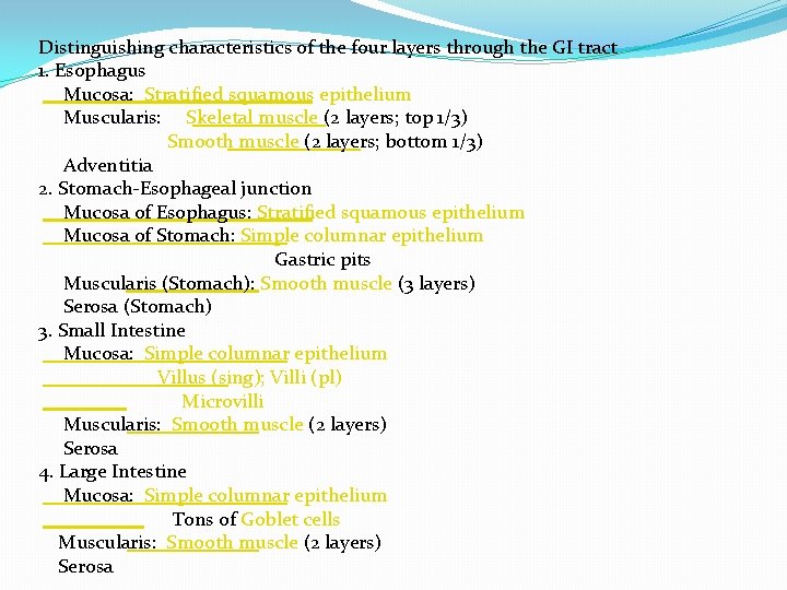Distinguishing characteristics of the four layers through the GI tract 1. Esophagus Mucosa: Stratified