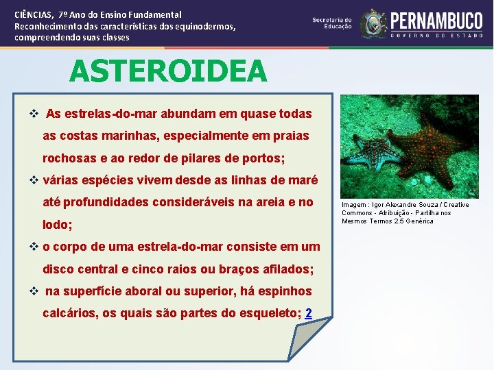 CIÊNCIAS, 7º Ano do Ensino Fundamental Reconhecimento das características dos equinodermos, compreendendo suas classes