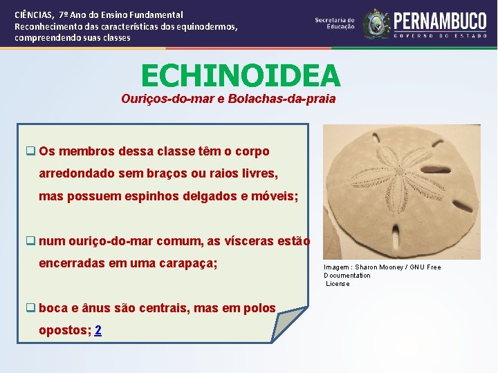 CIÊNCIAS, 7º Ano do Ensino Fundamental Reconhecimento das características dos equinodermos, compreendendo suas classes