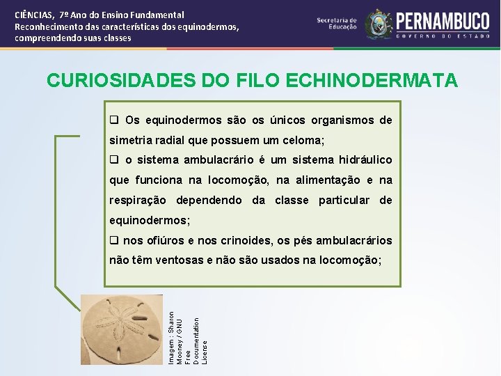 CIÊNCIAS, 7º Ano do Ensino Fundamental Reconhecimento das características dos equinodermos, compreendendo suas classes