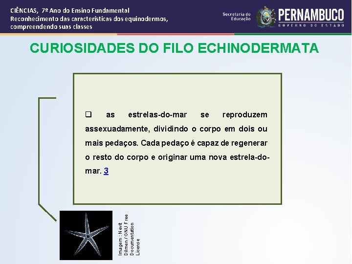 CIÊNCIAS, 7º Ano do Ensino Fundamental Reconhecimento das características dos equinodermos, compreendendo suas classes