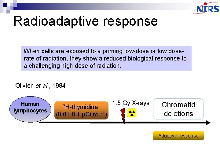 Radiation Effects on Regulation of Gene Expression Mitsuru