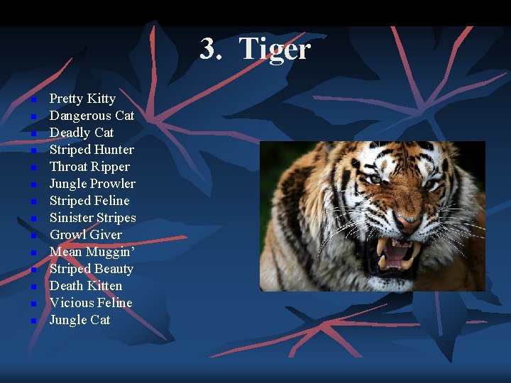 3. Tiger n n n n Pretty Kitty Dangerous Cat Deadly Cat Striped Hunter