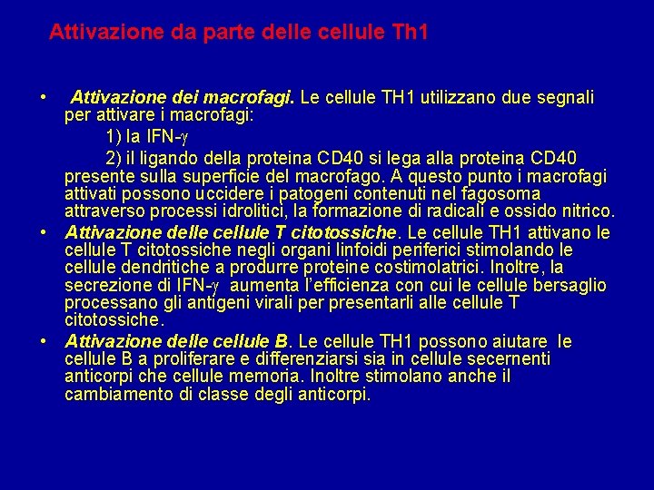 Attivazione da parte delle cellule Th 1 • Attivazione dei macrofagi. Le cellule TH