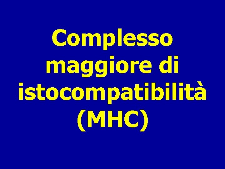 Complesso maggiore di istocompatibilità (MHC) 