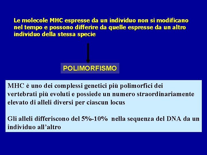 Le molecole MHC espresse da un individuo non si modificano nel tempo e possono