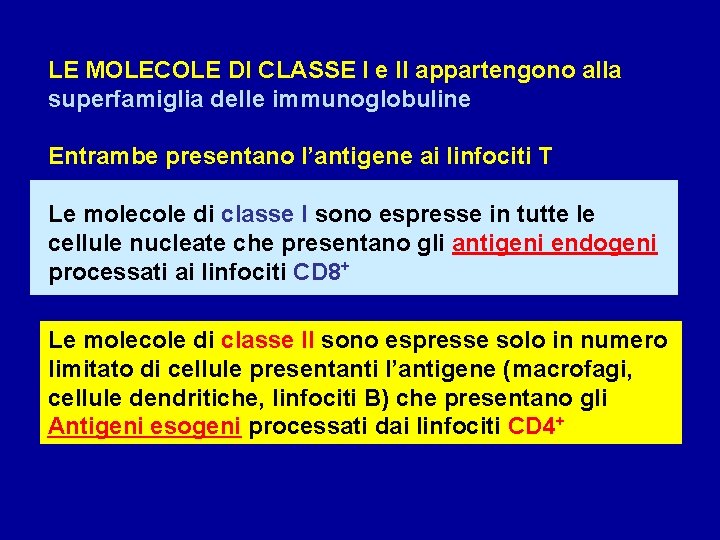 LE MOLECOLE DI CLASSE I e II appartengono alla superfamiglia delle immunoglobuline Entrambe presentano