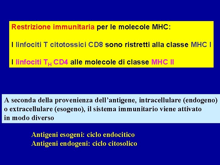 Restrizione immunitaria per le molecole MHC: I linfociti T citotossici CD 8 sono ristretti