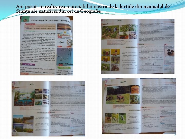 Am pornit in realizarea materialului nostru de la lectiile din manualul de Stiinte ale
