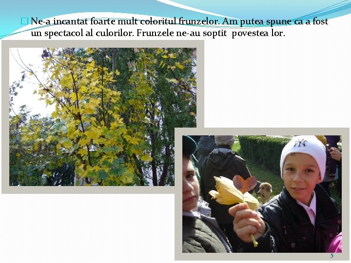 � Ne-a incantat foarte mult coloritul frunzelor. Am putea spune ca a fost un