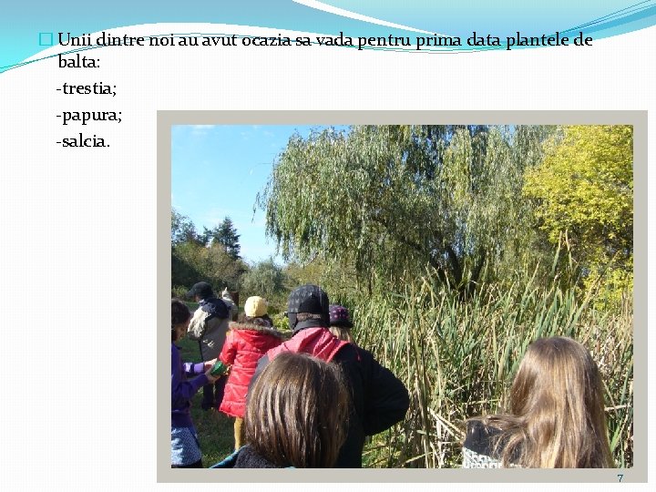 � Unii dintre noi au avut ocazia sa vada pentru prima data plantele de