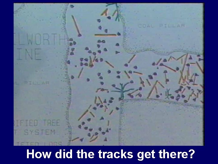 How did the tracks get there? 