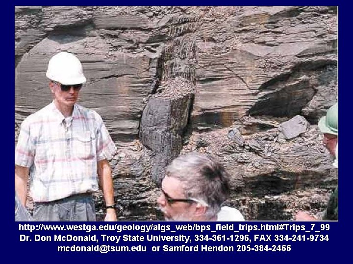 http: //www. westga. edu/geology/algs_web/bps_field_trips. html#Trips_7_99 Dr. Don Mc. Donald, Troy State University, 334 -361