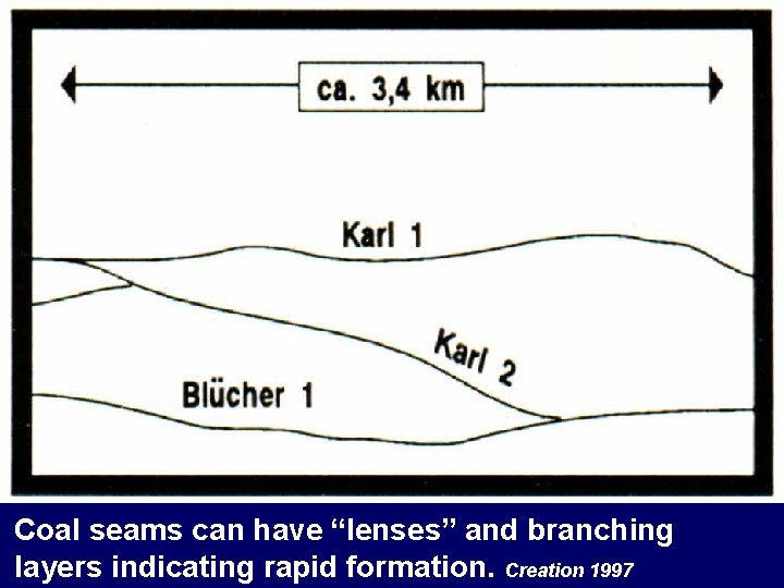 Coal seams can have “lenses” and branching layers indicating rapid formation. Creation 1997 