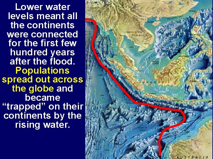 Lower water levels meant all the continents were connected for the first few hundred