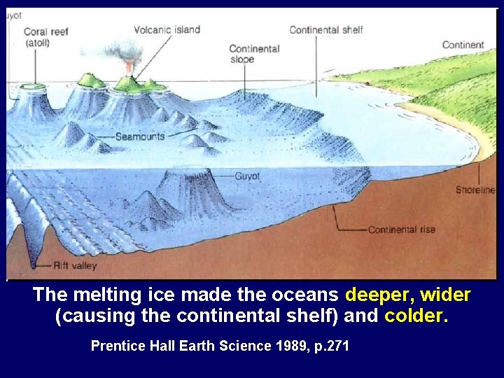The melting ice made the oceans deeper, wider (causing the continental shelf) and colder.